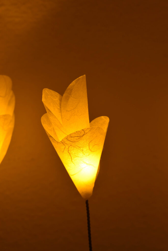 SICOL-USM-©MichelPellegrinelli15