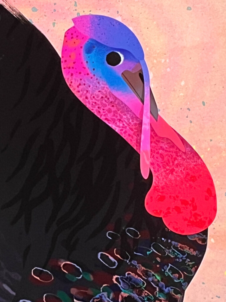 SICOL-USM-©MyriamHoferGlatz33